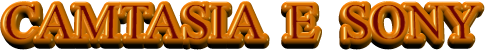 CAMTASIA  E  SONY