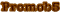 Promob5
